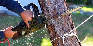 Best Lot and Land Clearing  in Cleveland, OK