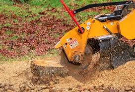 Best Soil Testing and Treatment  in Cleveland, OK