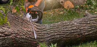 Best Aeration Services  in Cleveland, OK