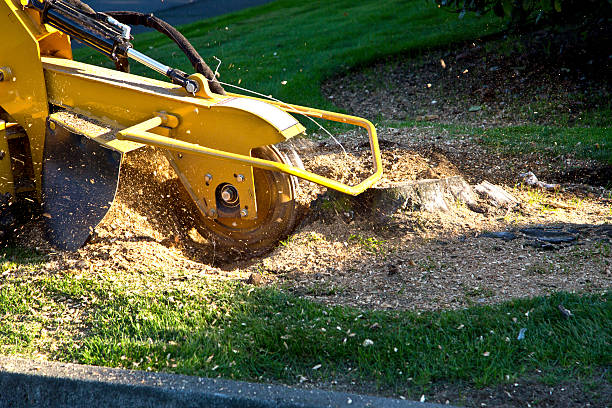 Best Lawn Mowing  in Cleveland, OK